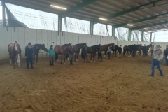Horsemanship Lehrgang - März 2019